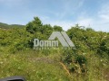 Продава ПАРЦЕЛ, област Добрич, с. Рогачево • 30000 € • 41647701 — Holmes.bg