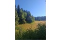 Продава ПАРЦЕЛ, област Смолян, с. Соколовци • 45500 € / 88990.26 лв. • 33394193 2