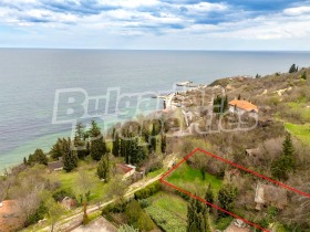 ������ ������� ����