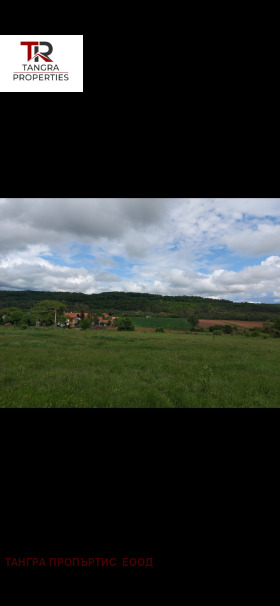 Bâtiment industriel Kovatchevtsi, région Pernik 6