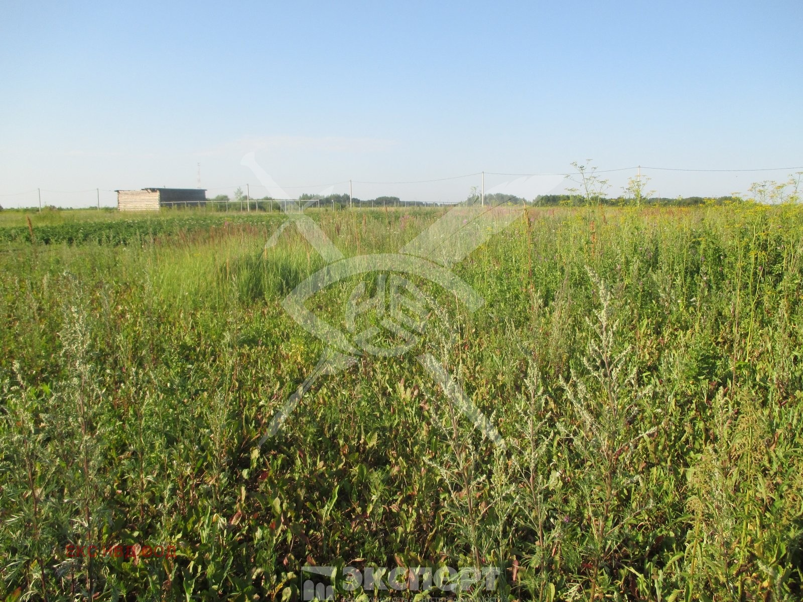 Продава ПАРЦЕЛ | Imot.bg — изображение 3