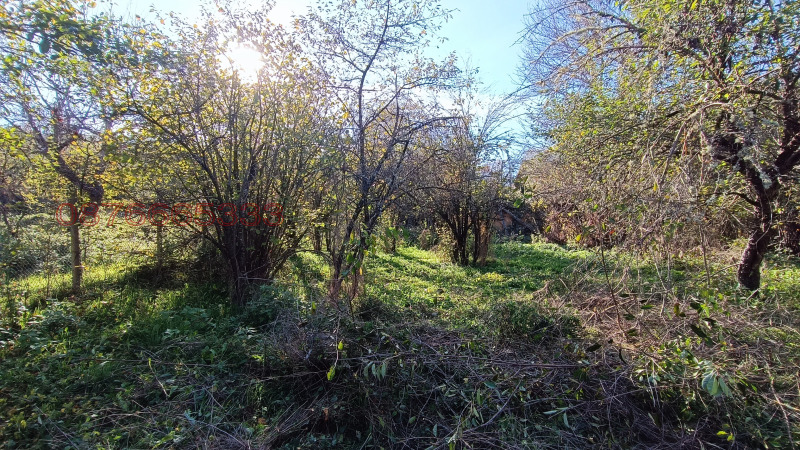 Продава КЪЩА, с. Трекляно, област Кюстендил, снимка 11 - Къщи - 52783919