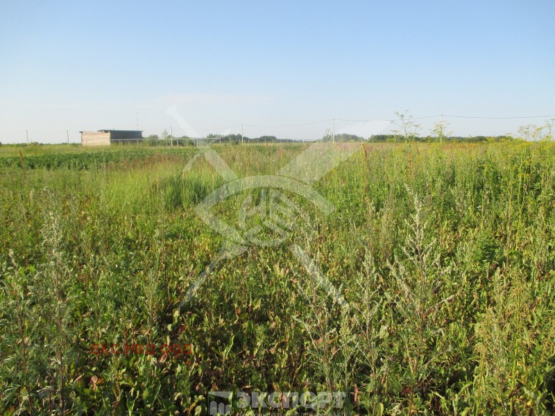 À vendre  Parcelle région Plovdiv , Asenovgrad , 3390 m² | 82199340
