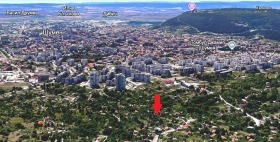 ������ ������� ������