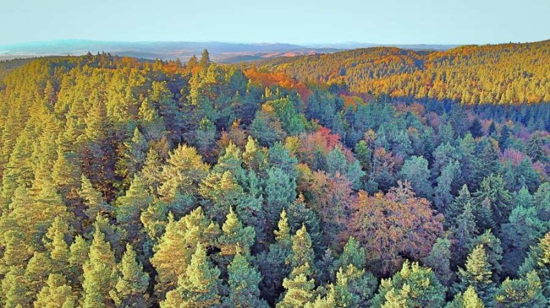 For Sale  Plot region Sofia , k.k. Borovets , 2500 sq.m | 37361516 - image [14]
