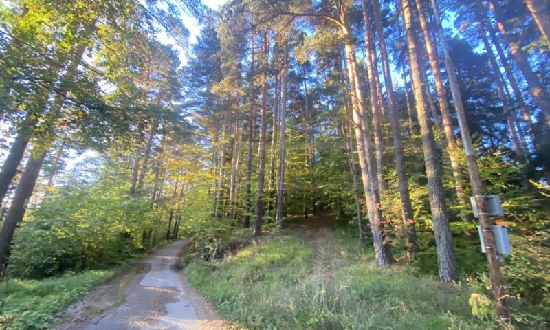Продава ПАРЦЕЛ, област София, к.к. Боровец • 167000 € • 66675987 — Holmes.bg