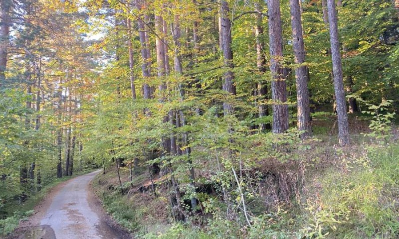 For Sale  Plot region Sofia , k.k. Borovets , 2500 sq.m | 37361516 - image [4]