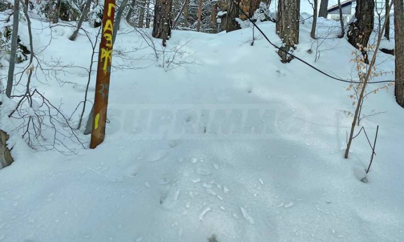 For Sale  Plot region Sofia , k.k. Borovets , 2500 sq.m | 37361516 - image [16]