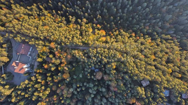 For Sale  Plot region Sofia , k.k. Borovets , 2500 sq.m | 37361516 - image [13]