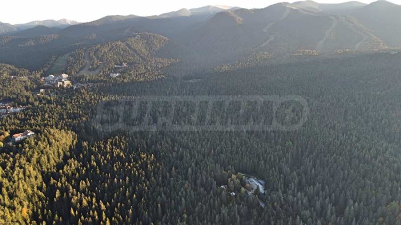 For Sale  Plot region Sofia , k.k. Borovets , 2500 sq.m | 37361516 - image [5]