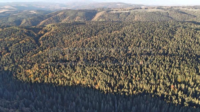 For Sale  Plot region Sofia , k.k. Borovets , 2500 sq.m | 37361516 - image [10]