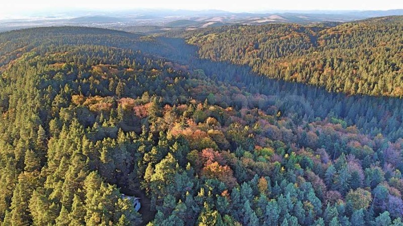 For Sale  Plot region Sofia , k.k. Borovets , 2500 sq.m | 37361516 - image [9]