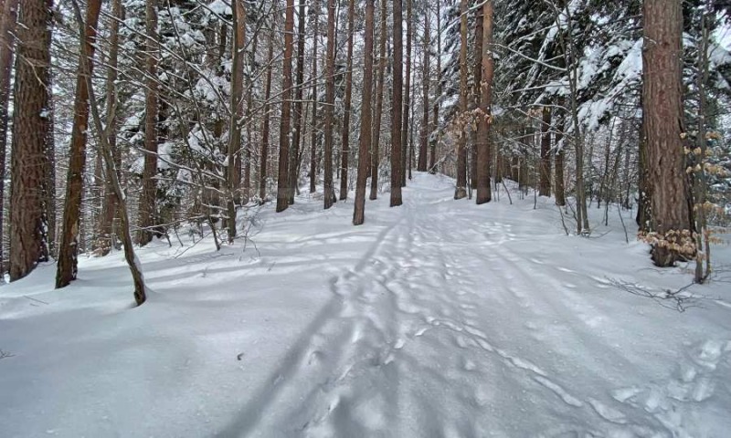 For Sale  Plot region Sofia , k.k. Borovets , 2500 sq.m | 37361516 - image [17]