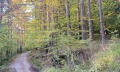 Продава ПАРЦЕЛ, област София, к.к. Боровец • 167000 € • 66675987 — Holmes.bg