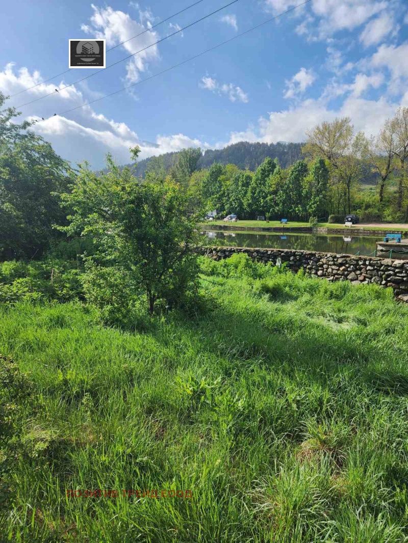 À vendre  Parcelle région Kyoustendil , Doupnitsa , 3100 m² | 37769027