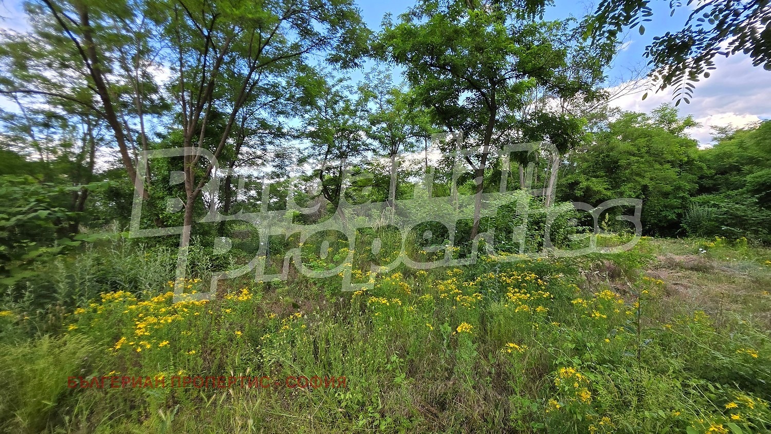 Продава ПАРЦЕЛ, гр. София, с. Панчарево, снимка 9 - Парцели - 55043667