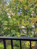 Продава  2-стаен град София , Изток , 78 кв.м | 39916297 - изображение [17]
