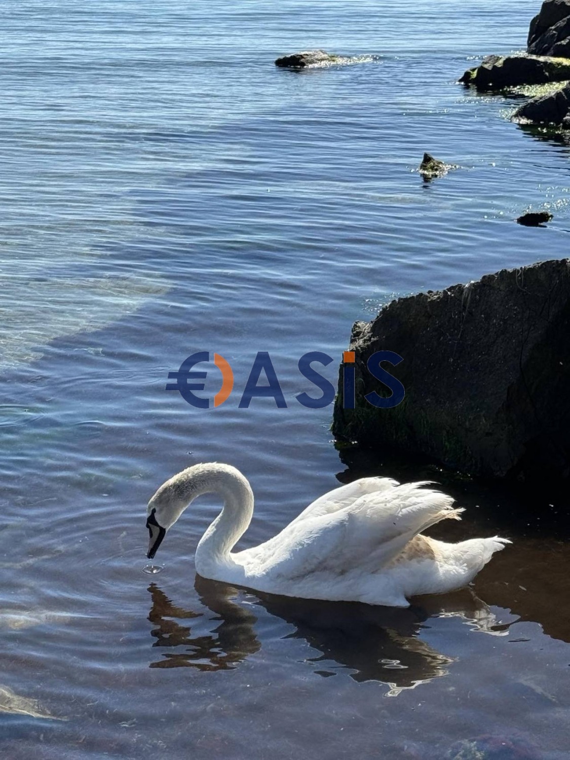 ������� 2-����� | Imot.bg � ����������� 14