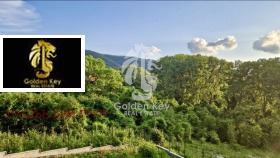 ����� ������� ����,���� �����, �. �����