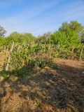 Продава КЪЩА, област Видин, гр. Дунавци • 41000 € • 88659354 — Holmes.bg