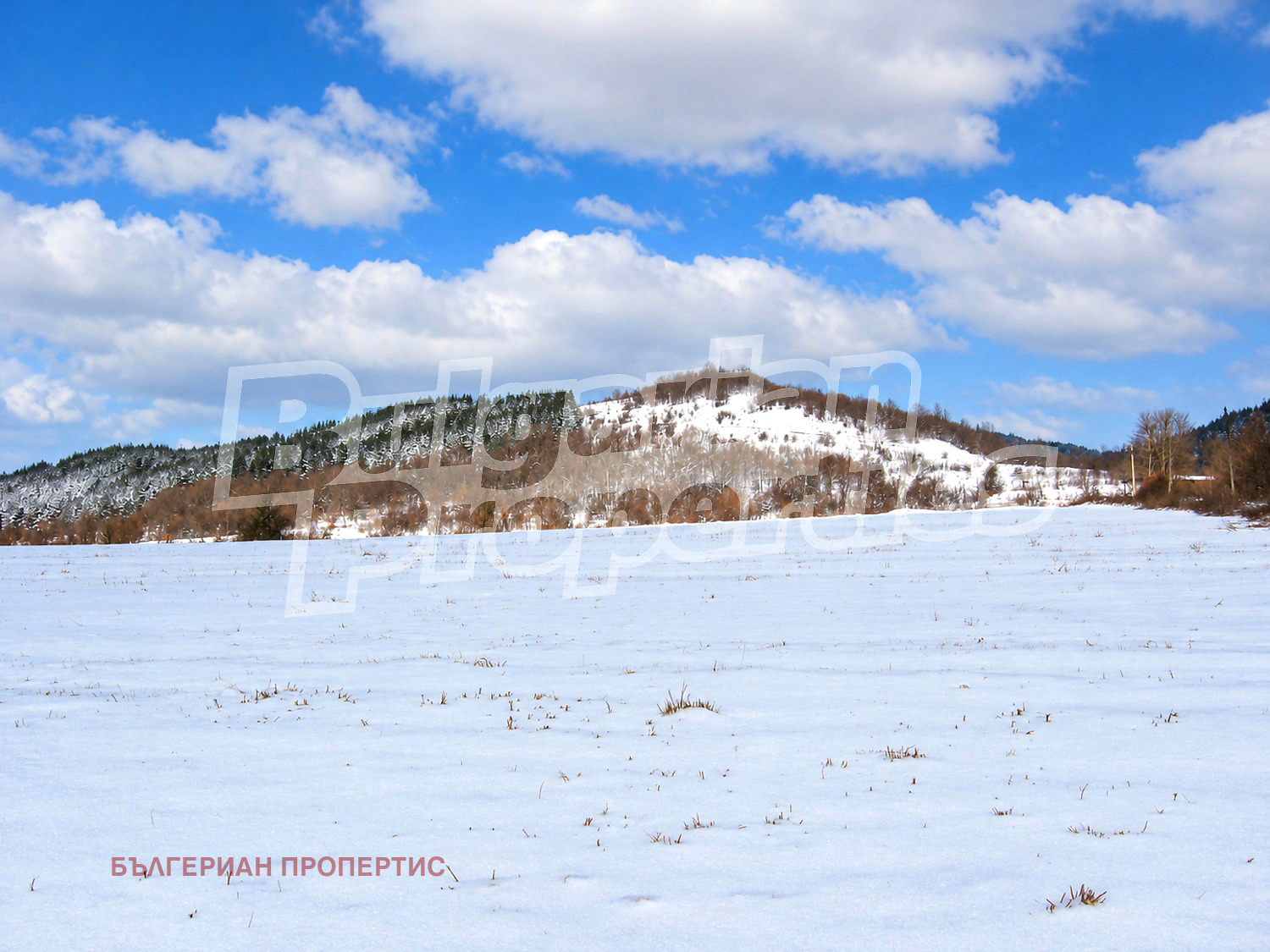 ������� ������ | Imot.bg � ����������� 3