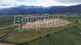 ������ ������� ������