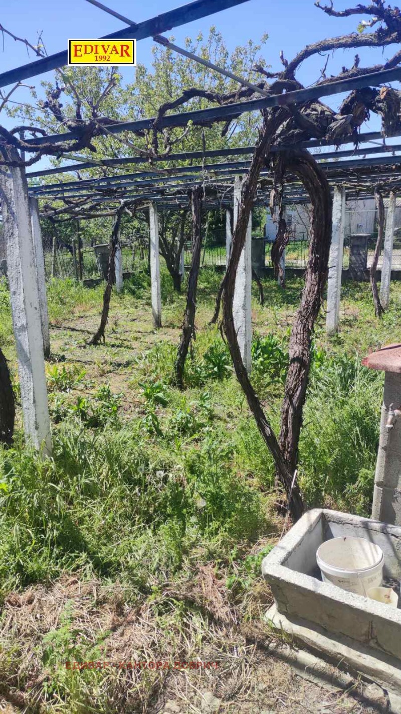 Продава КЪЩА, с. Нова Камена, област Добрич, снимка 6 - Къщи - 52708533