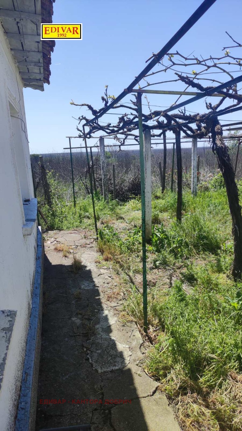 Продава КЪЩА, с. Нова Камена, област Добрич, снимка 7 - Къщи - 52708533