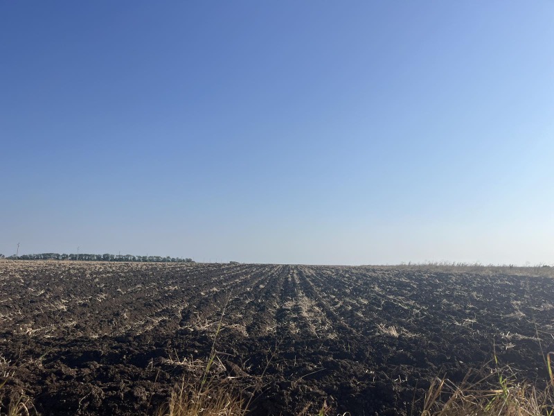 De vânzare  Complot regiunea Dobrich , Camen briag , 5500 mp | 83167892 - imagine [5]