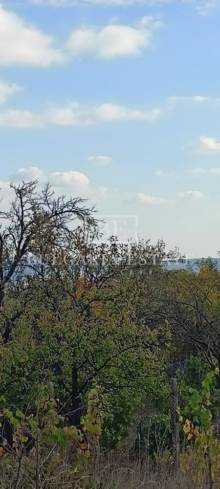 Продаја  Плот Варна , м-т Балам Дере , 629 м2 | 70601060 - слика [4]