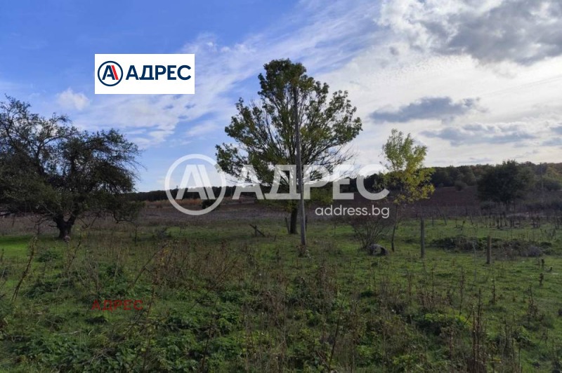 Продава ПРОМ. ПОМЕЩЕНИЕ, с. Водица, област Варна, снимка 4 - Производствени сгради - 52747038