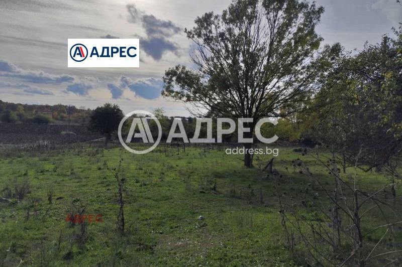 Продава ПРОМ. ПОМЕЩЕНИЕ, с. Водица, област Варна, снимка 8 - Производствени сгради - 52747038