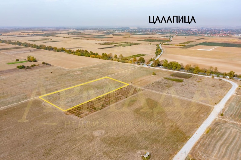 Продава  Парцел област Пловдив , с. Цалапица , 9629 кв.м | 81977835