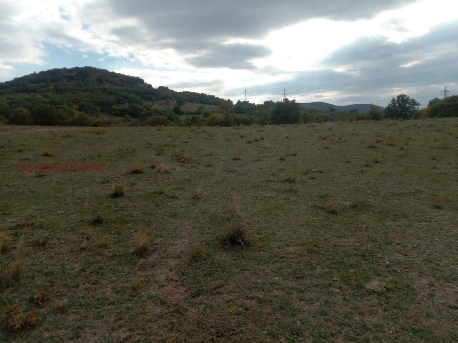 Продава ЗЕМЕДЕЛСКА ЗЕМЯ, с. Змейово, област Стара Загора, снимка 4 - Земеделска земя - 53940437