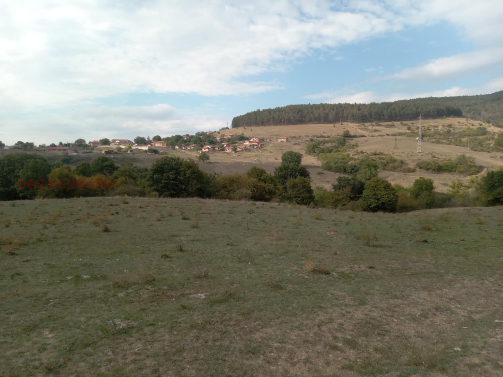 Продава ЗЕМЕДЕЛСКА ЗЕМЯ, с. Змейово, област Стара Загора, снимка 9 - Земеделска земя - 53940437