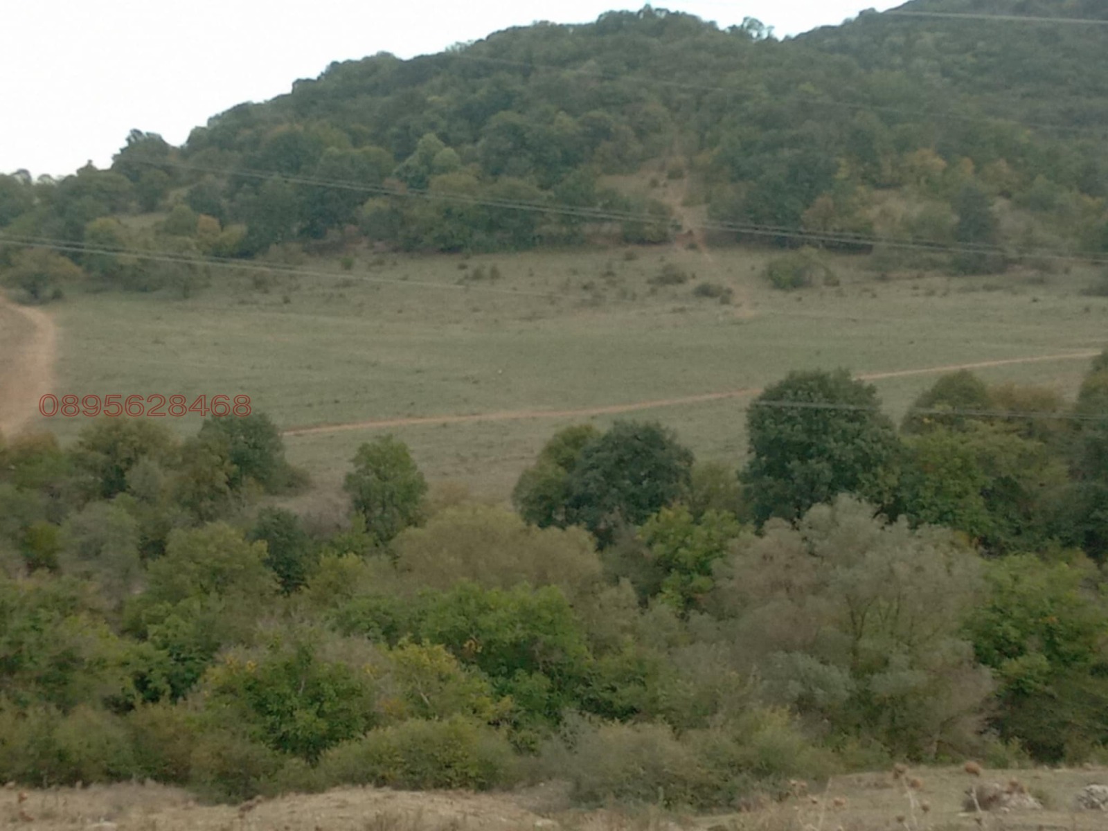 Продава ЗЕМЕДЕЛСКА ЗЕМЯ, с. Змейово, област Стара Загора, снимка 3 - Земеделска земя - 53940437