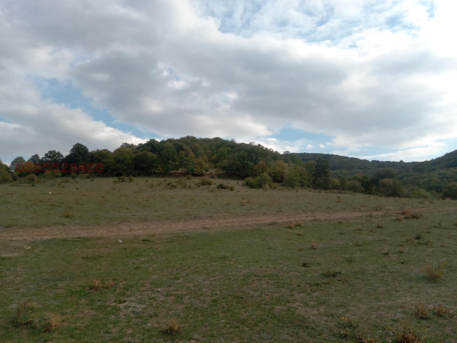 Продава ЗЕМЕДЕЛСКА ЗЕМЯ, с. Змейово, област Стара Загора, снимка 5 - Земеделска земя - 53940437