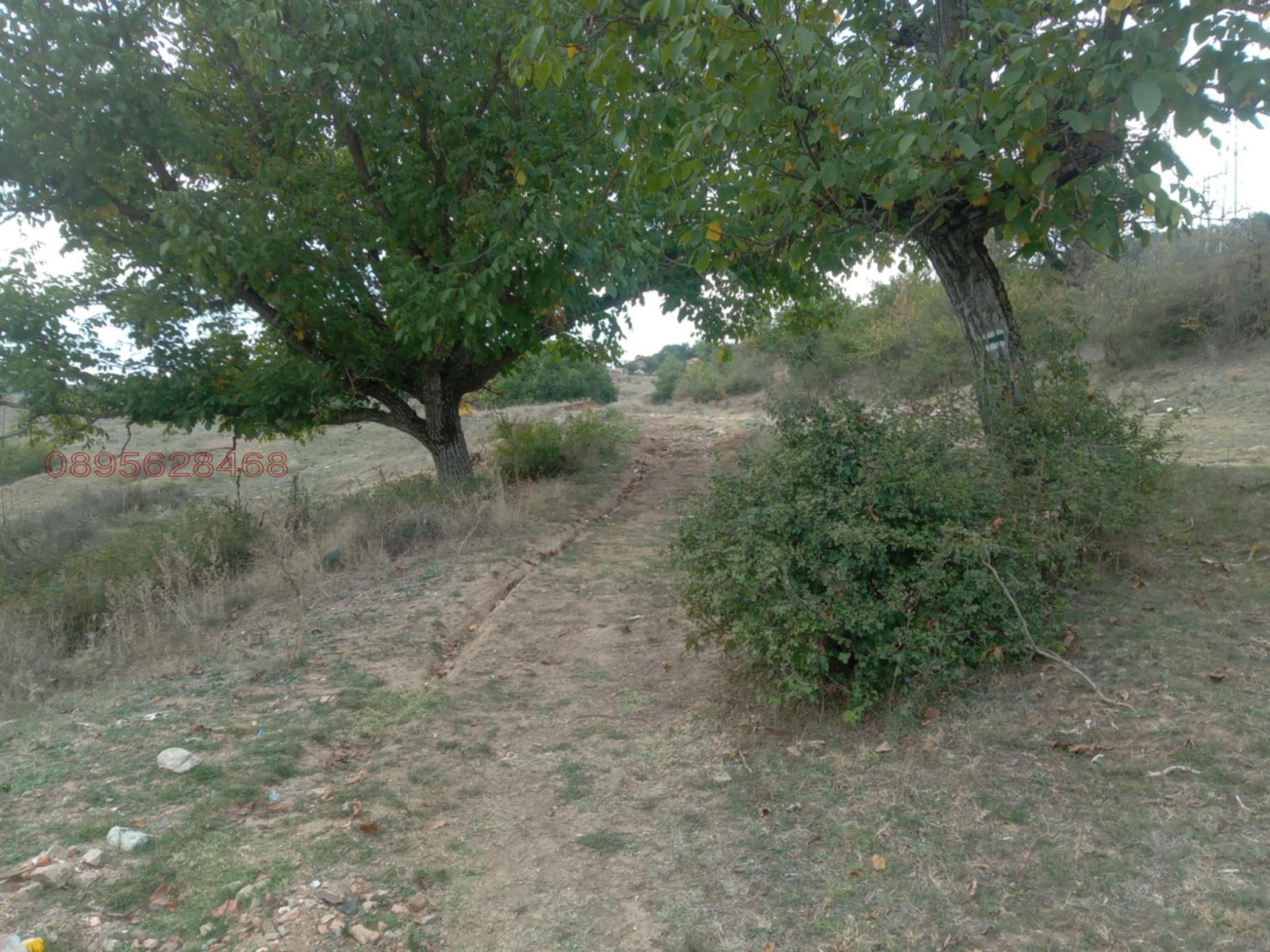 Продава ЗЕМЕДЕЛСКА ЗЕМЯ, с. Змейово, област Стара Загора, снимка 7 - Земеделска земя - 53940437