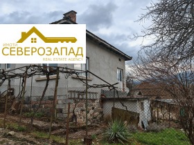 ������ ������� ����