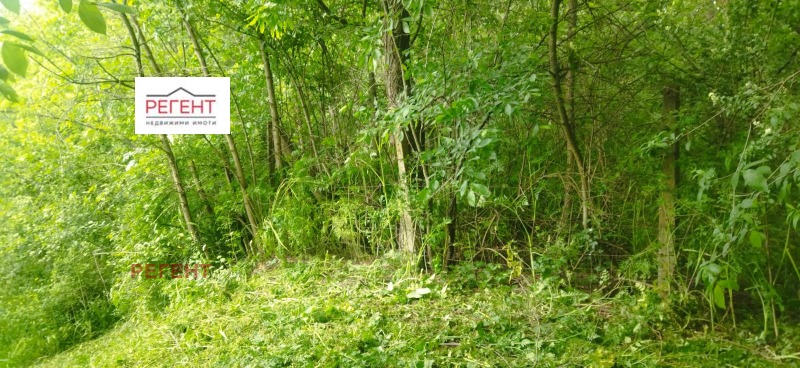 Na prodej  Spiknutí oblast Gabrovo , Vranilovci , 1000 m2 | 87176786 - obraz [3]