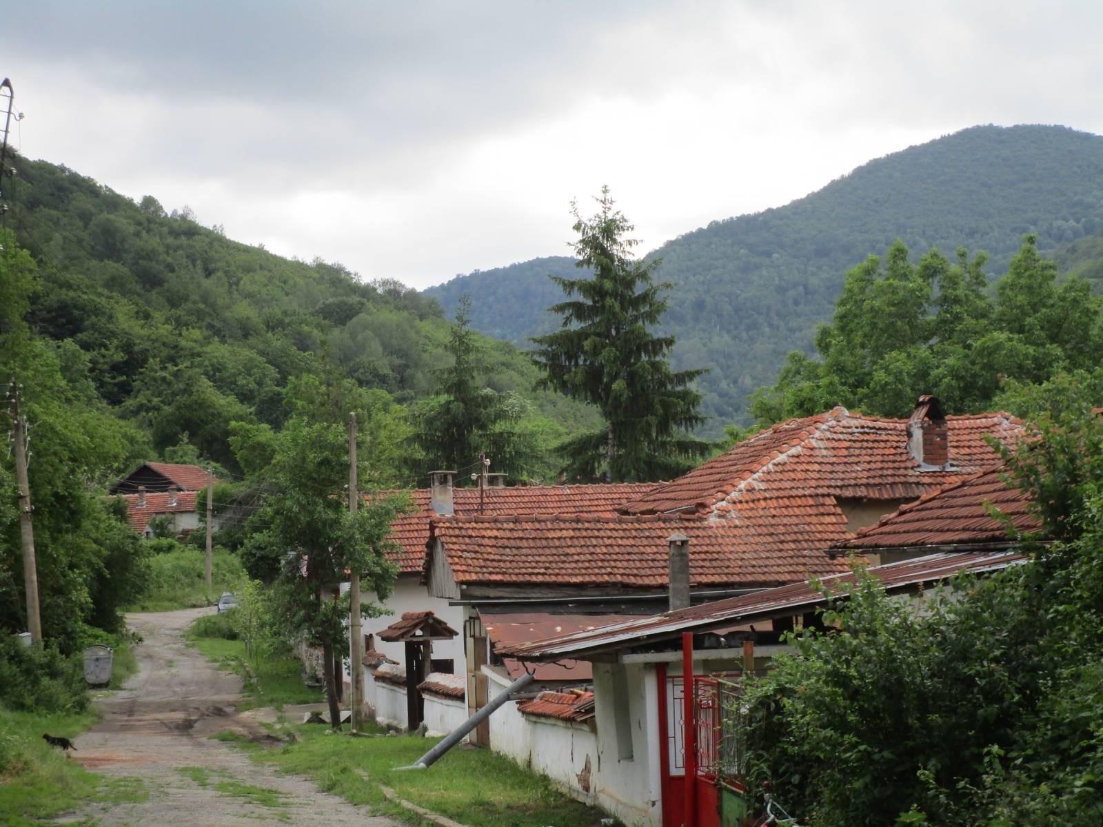 Продава ПАРЦЕЛ, с. Малка Желязна, област Ловеч, снимка 5 - Парцели - 53965579