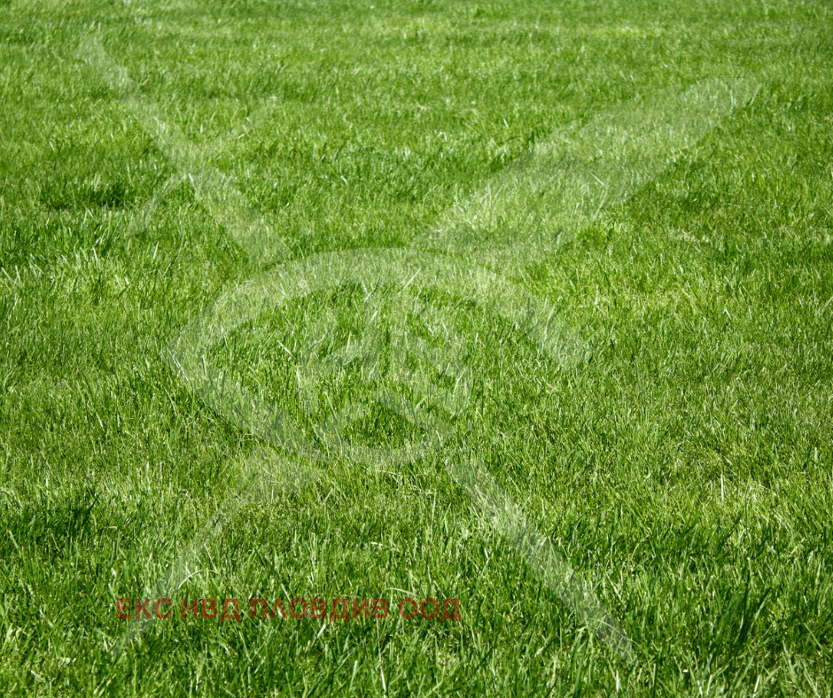 Продава ПАРЦЕЛ, с. Ягодово, област Пловдив