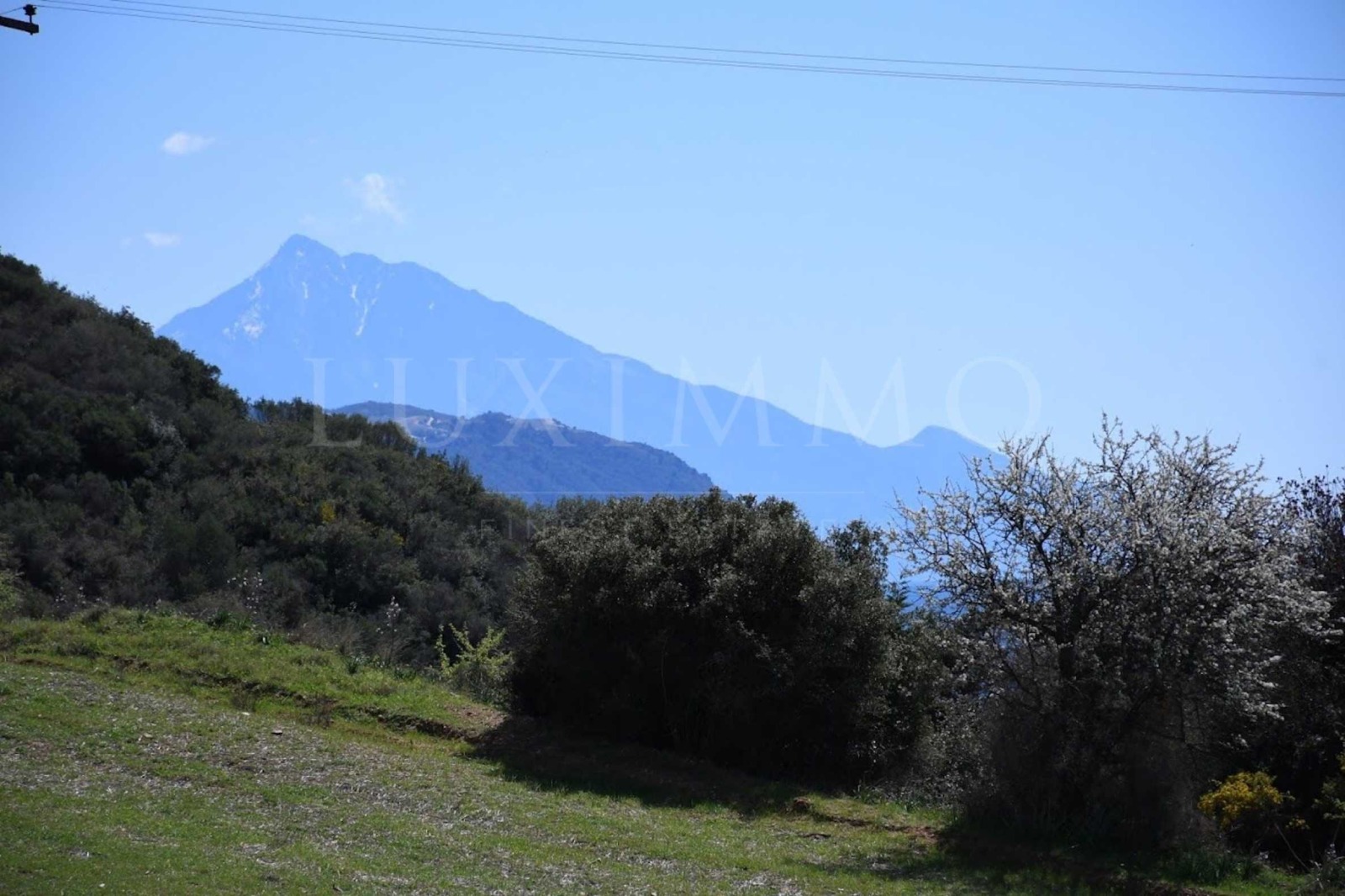 Продава ПАРЦЕЛ | Imot.bg — изображение 2