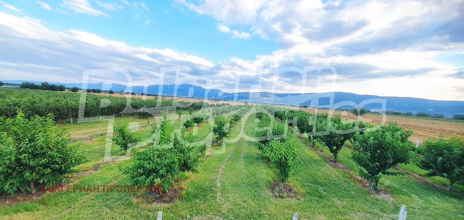 ������� ������ | Imot.bg � ����������� 13