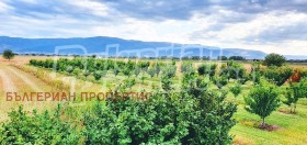 ����� ������� ������,�. ��������, ������ �������