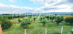 ������� ������ | Imot.bg � ����� ������ 2