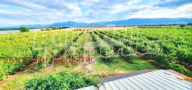 ������� ������ | Imot.bg � ����� ������ 3