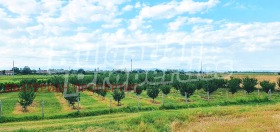 ������� ������ | Imot.bg � ����� ������ 9