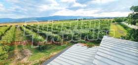 ������� ������ | Imot.bg � ����� ������ 6