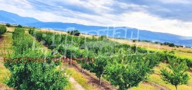 ������� ������ | Imot.bg � ����� ������ 5